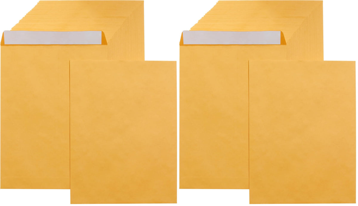 Amazon Basics Self Seal Catalog Envelopes for Business Mailing, Peel and Seal, 6" x 9", Brown Kraft, 100-Pack