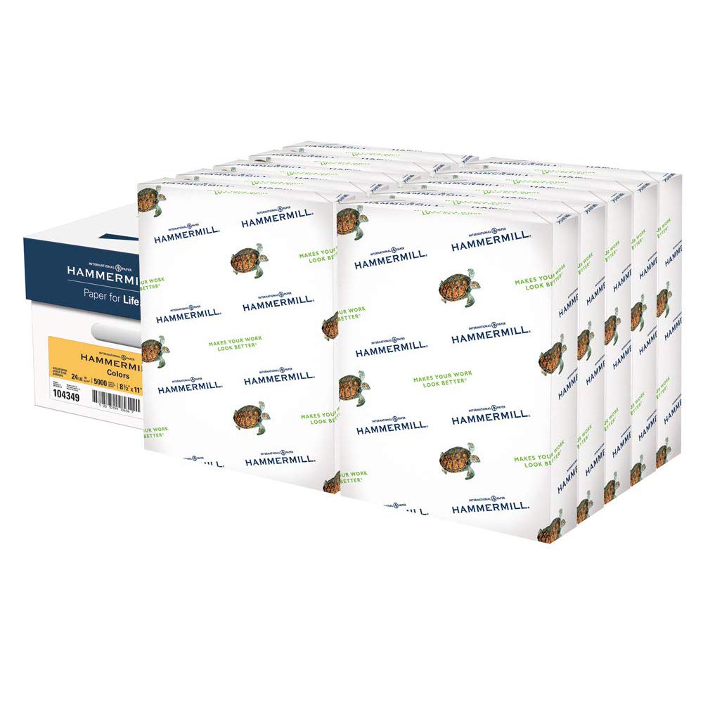 Hammermill Colored Paper, 24 lb Green Printer Paper, 8.5 x 11-1 Ream (500 Sheets) - Made in the USA, Pastel Paper, 104380R
