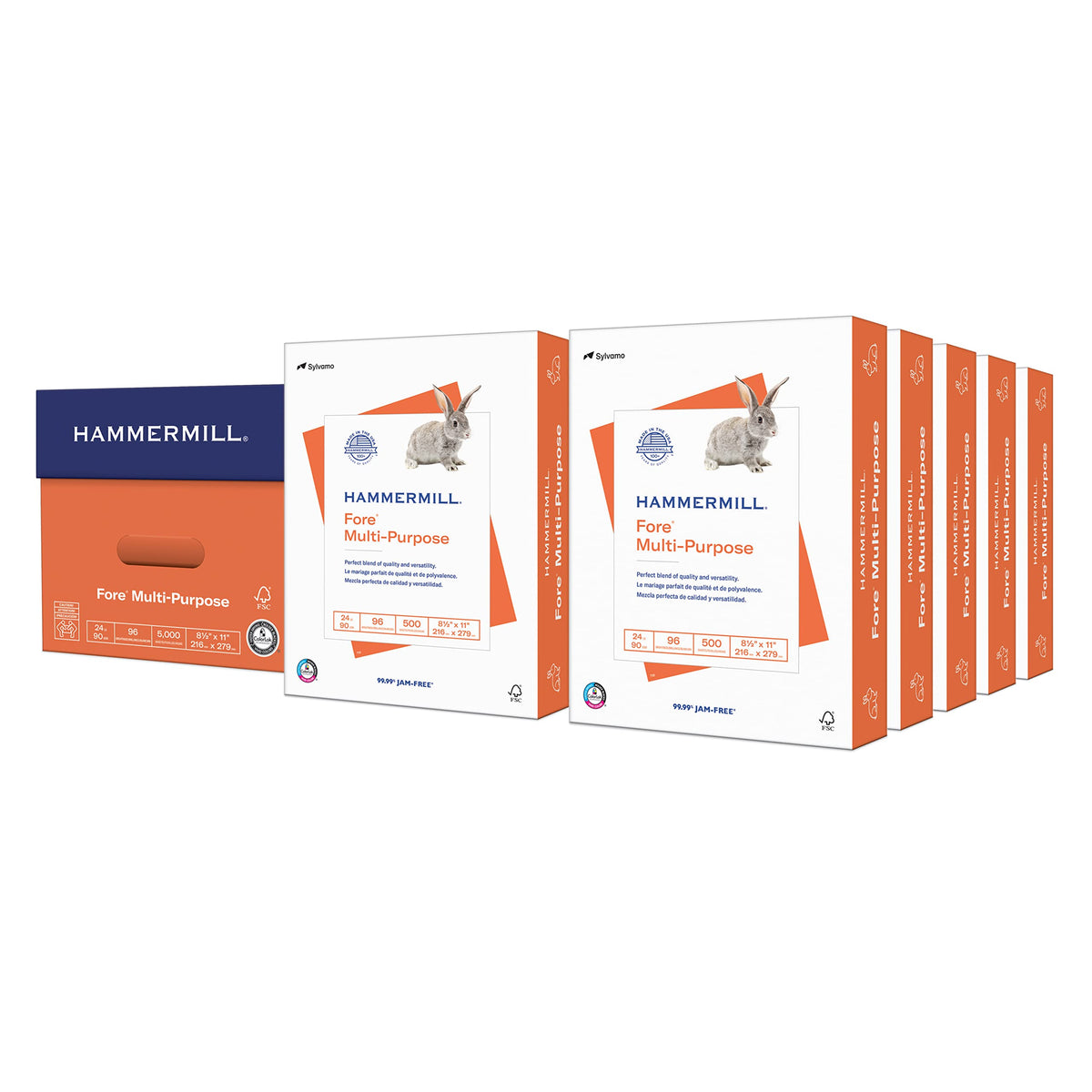 Hammermill Paper, Fore Multipurpose Paper, 8.5 x 11 Paper, Letter Size, 3 Hole, 24lb Paper, 96 Bright, 1 Ream / 500 Sheets (101287R) Acid Free Paper